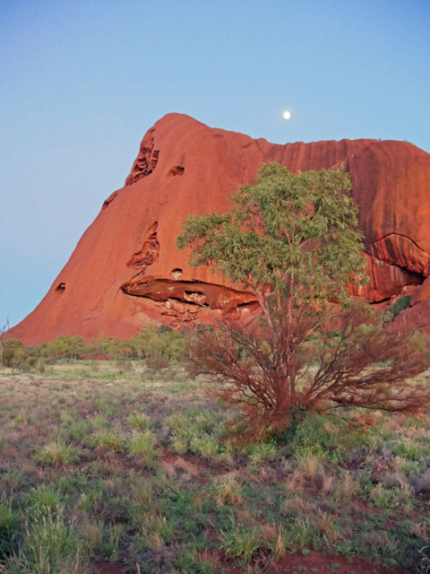 Uluru at Sunrise from Kuniya Carpark