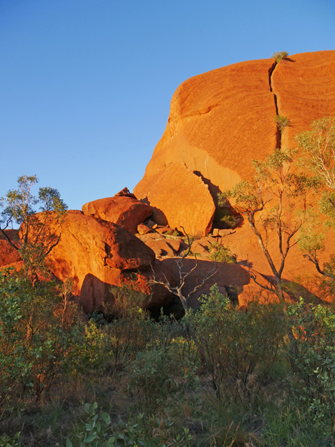 Early Morning Uluru Scene on Seqway Tour