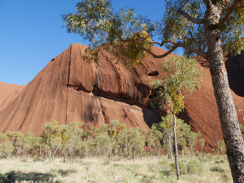 Early Morning Uluru Scene on Seqway Tour