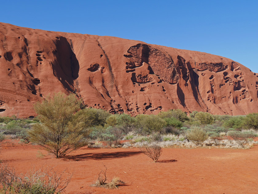 Early Morning Uluru Scene on Seqway Tour