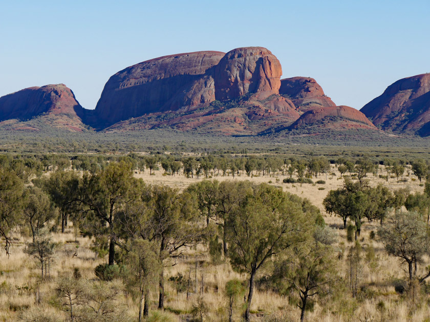 Kata Tjuta National Park Scene (Turtle)