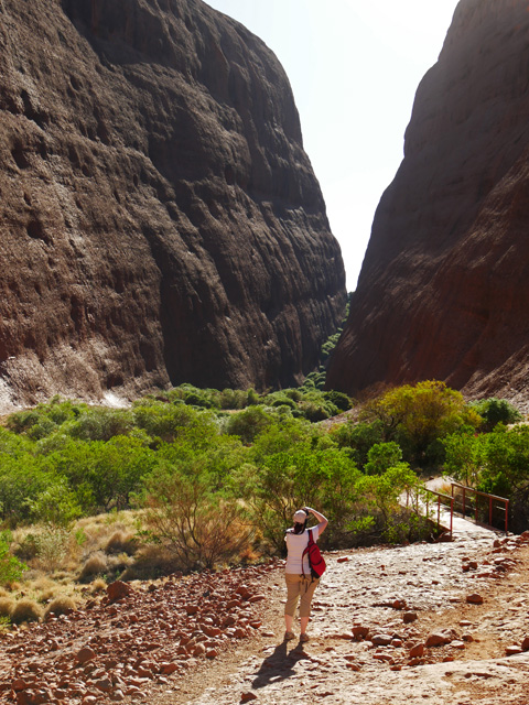 Along the Walpa Gorge Trail, Kata Tjuta