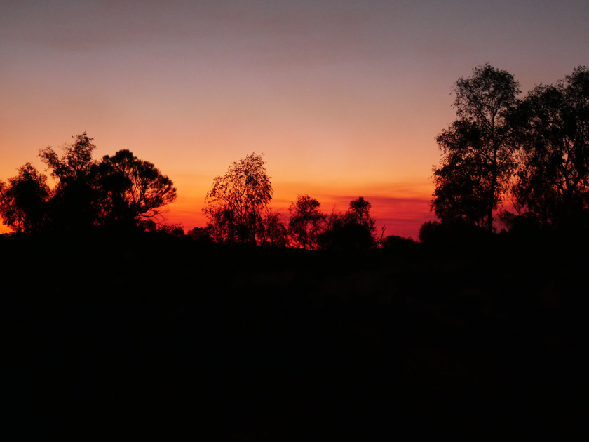 Sunset Over Field of Lights, Ayres Rock Resort