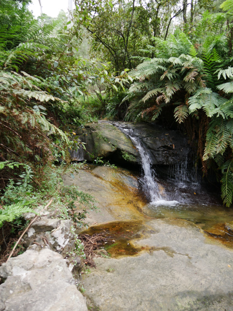 Cascades Along Trail to Wentworth Falls, Blue Mountains