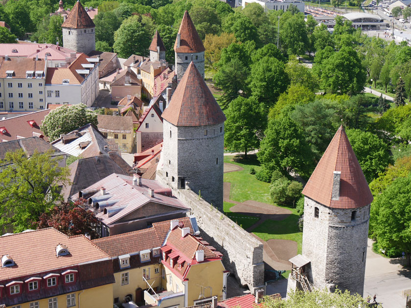 View of Tallinn City Wall from Top of St. Olaf's Church