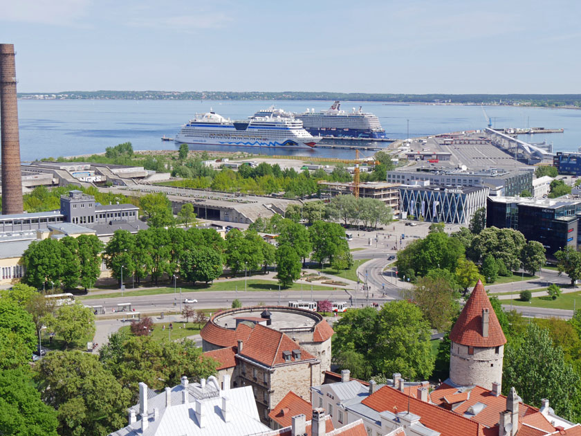 View of Tallinn City Wall from Top of St. Olaf's Church