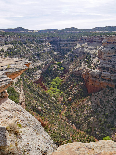 Cold Shivers Point Overlook Scenery, Colorado NM