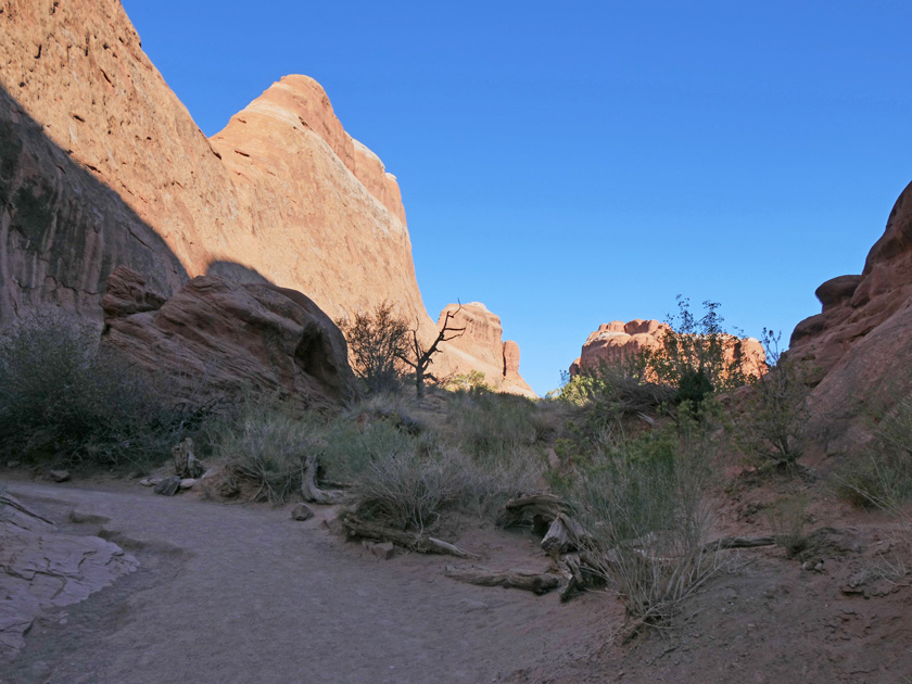 Devils Garden Trail Scenery, Arches NP