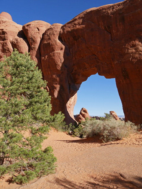 Pine Tree Arch, Arches NP