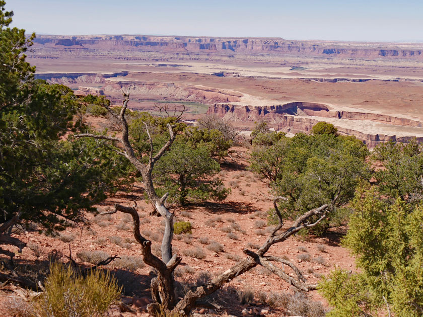 Dead Horse Point SP Scenery