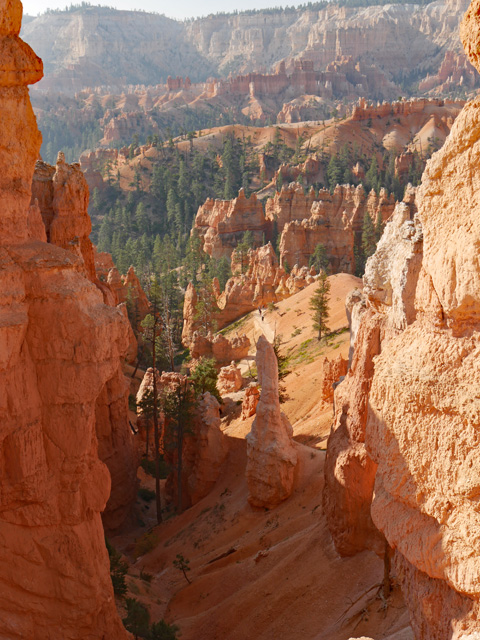 Hoodoos, Bryce Canyon NP