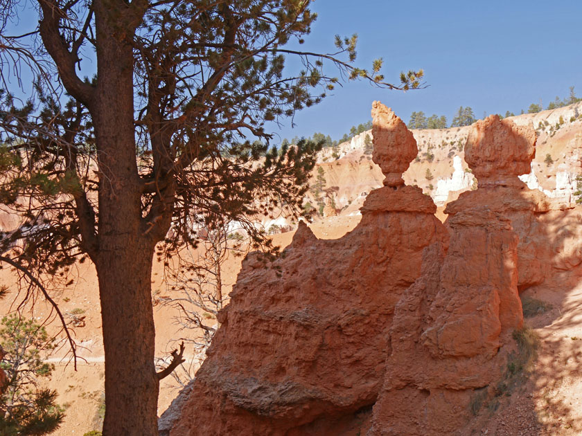 Hoodoos, Bryce Canyon NP