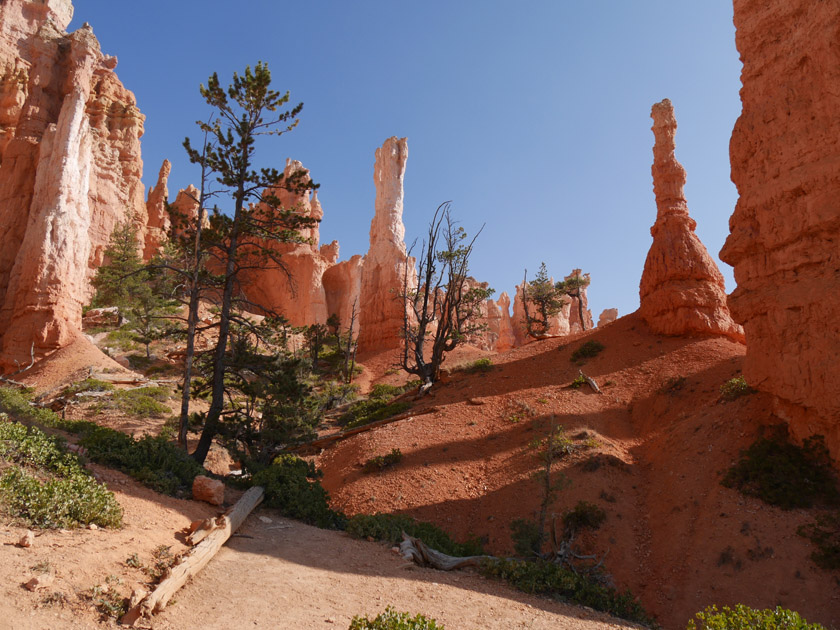 Queen's Garden, Bryce Canyon NP