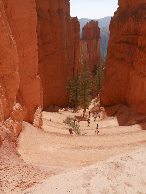 Top of Navajo Loop Trail, Bryce Canyon NP