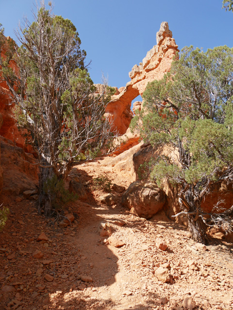 Red Canyon Arches Trail Scenery, Dixie National Forest UT