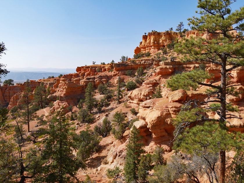 Red Canyon Arches Trail Scenery, Dixie National Forest UT