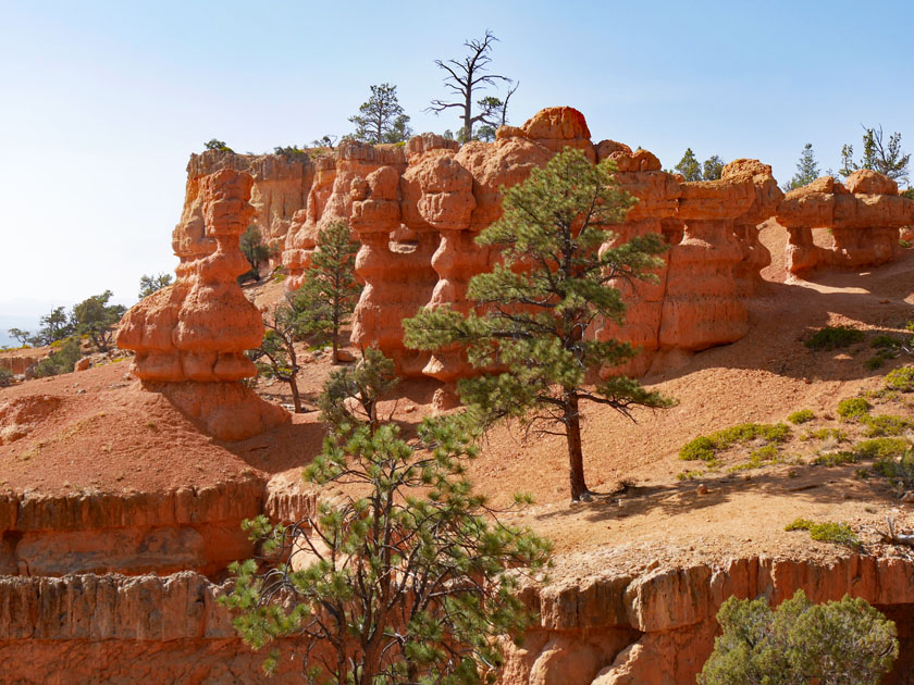 Red Canyon Arches Trail Scenery, Dixie National Forest UT