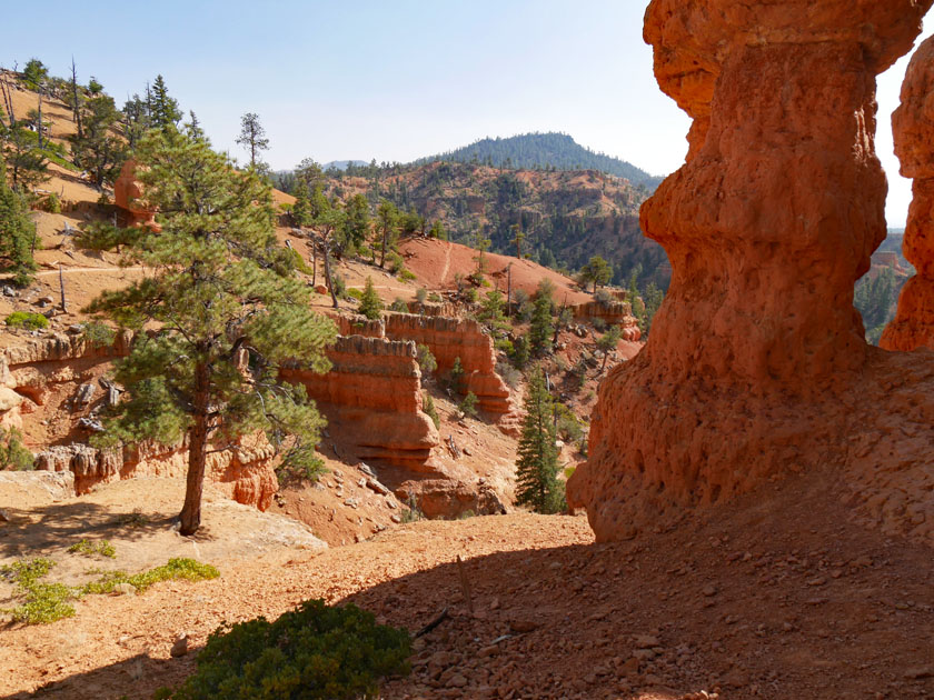 Red Canyon Arches Trail Scenery, Dixie National Forest UT