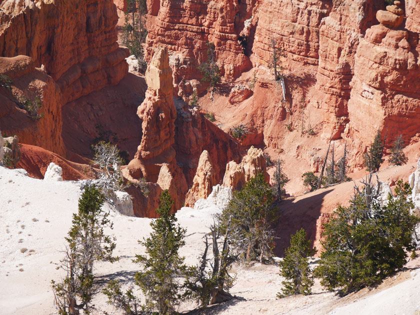 Scenery from North View Overlook, Cedar Breaks NP