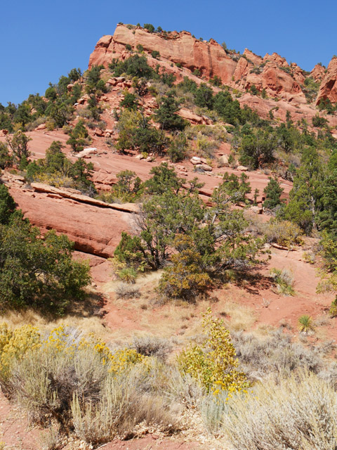 Kolob Canyon Scenery, Zion NP