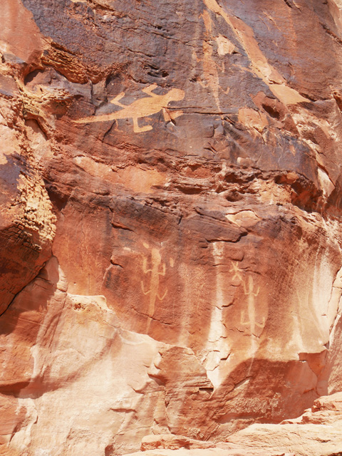 Lizard Petroglyphs Along Cub Creek Road Trails, Dinosaur NM