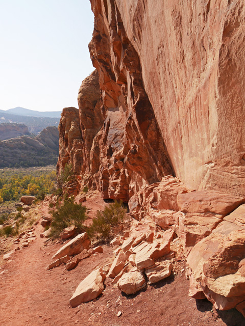 Petroglyphs Along Cub Creek Road Trails, Dinosaur NM