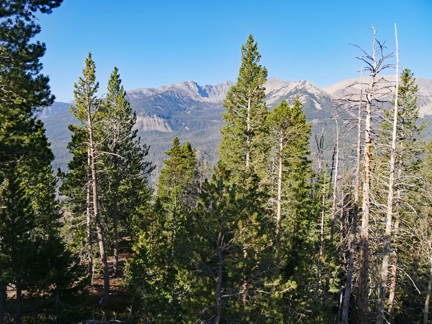 Scenery from Trail Ridge Road, Rocky Mountain NP