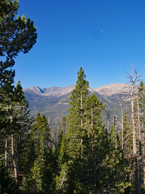 Scenery from Trail Ridge Road, Rocky Mountain NP