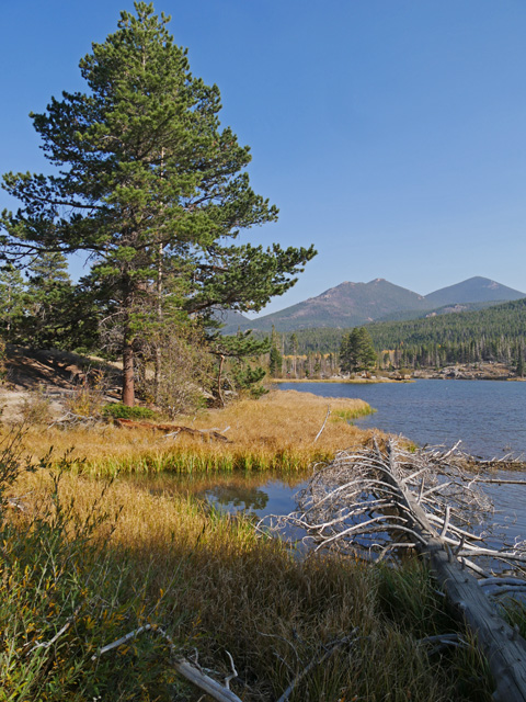 Sprague Lake, Rocky Mountain NP