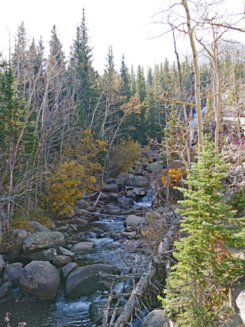 Glacier Gorge Trail to Alberta Falls, Rocky Mountain NP