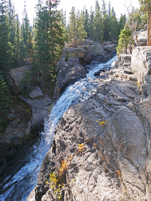 Alberta Falls, Rocky Mountain NP