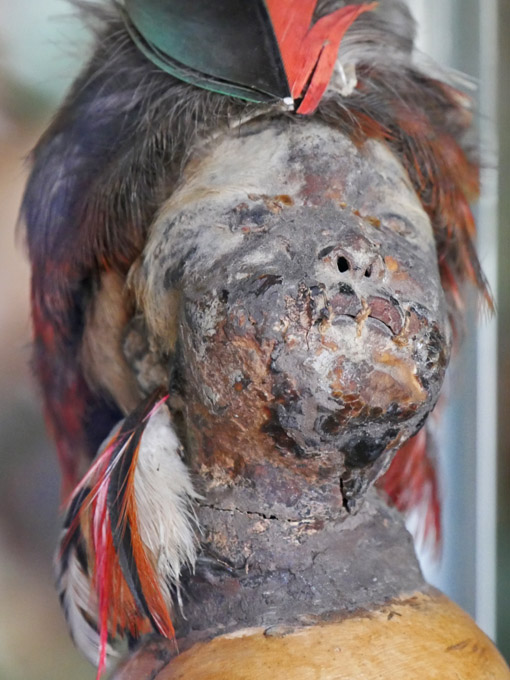 Shrunken Head at Intinan Museum, San Antonio de Pichincha