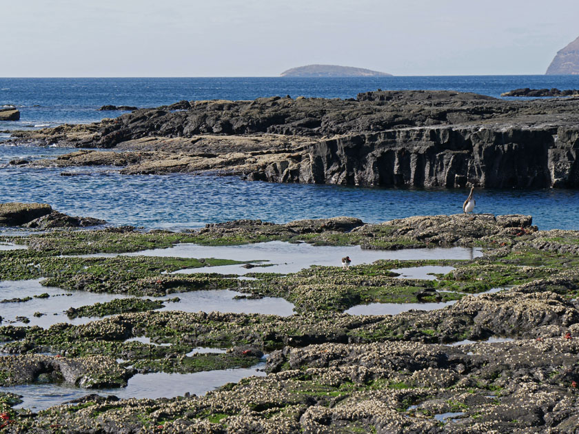 Puerto Egas Scenery, Santiago Island