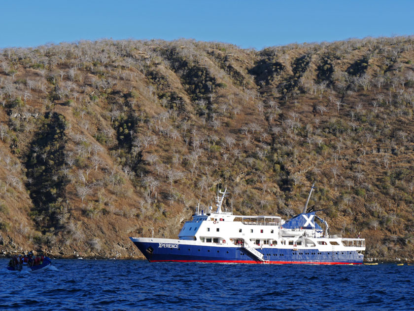 MS Xperience at Tagus Cove, Isabela Island