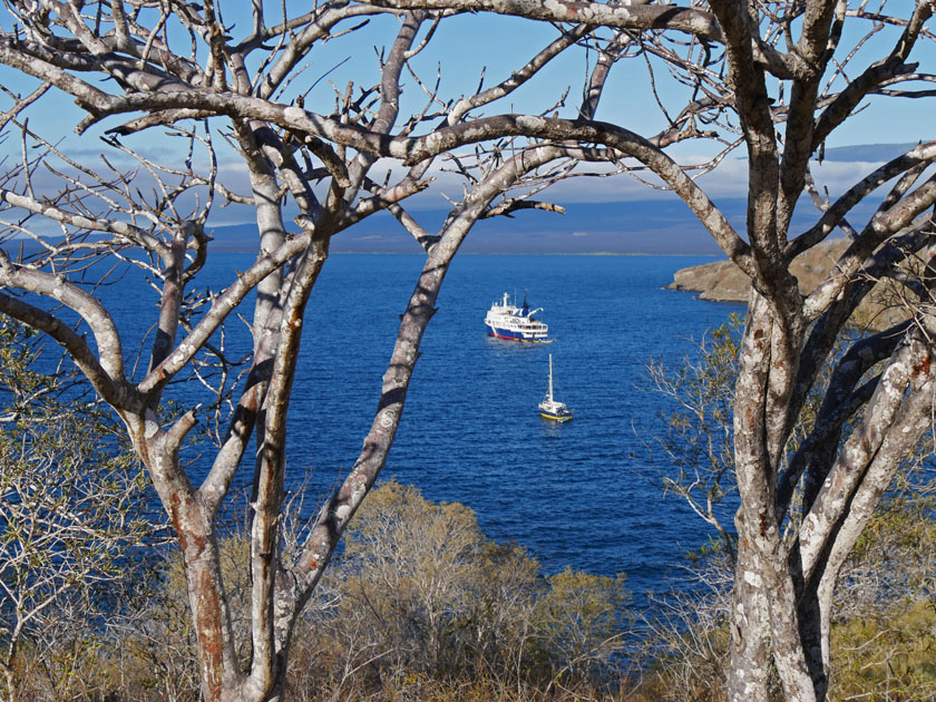 Tagus Cove Scenery, Isabela Island