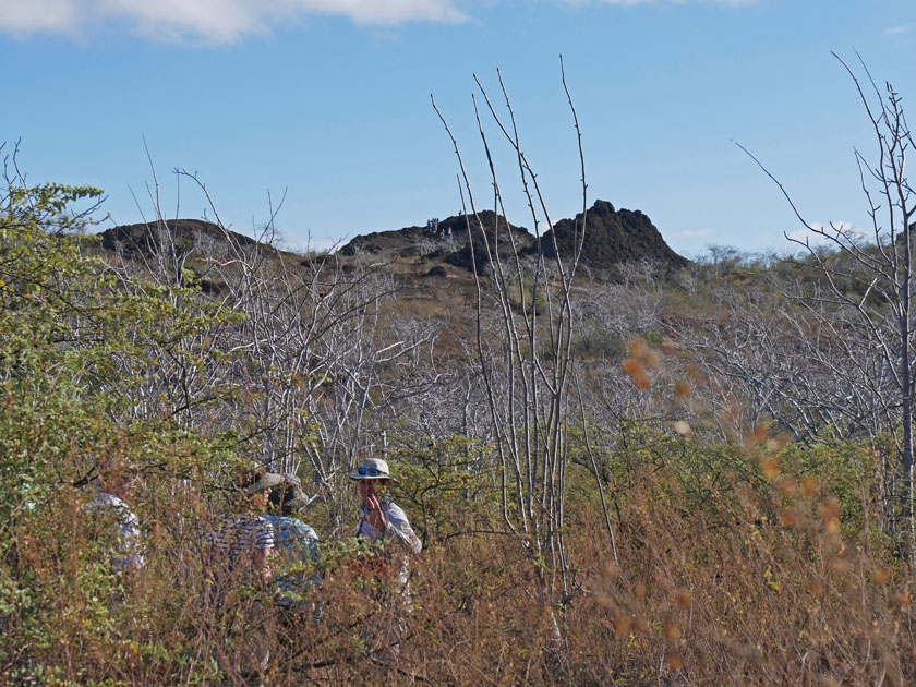 Tagus Cove Trail Scenery, Isabela Island