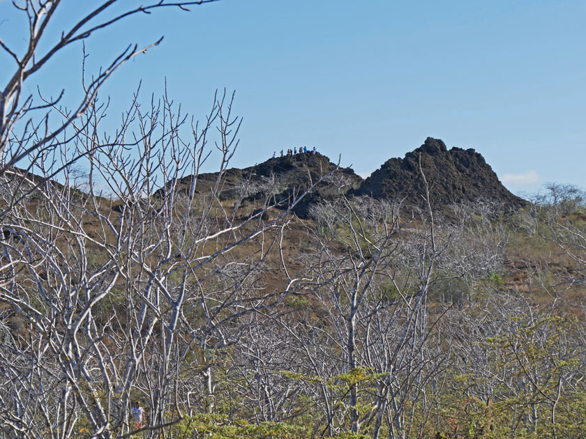 Tagus Cove Hiking Trail Scenery, Isabela Island