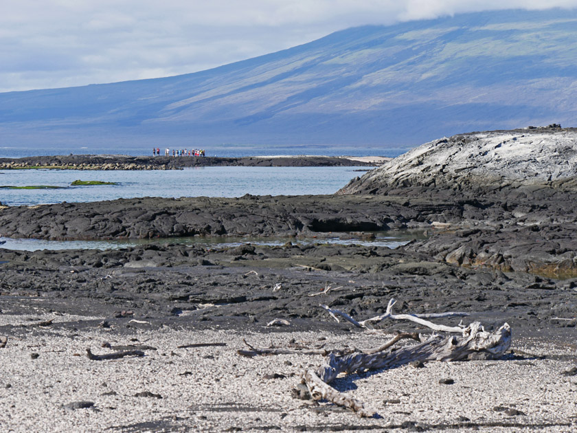 Isabela Island from Fernandina Island Shore