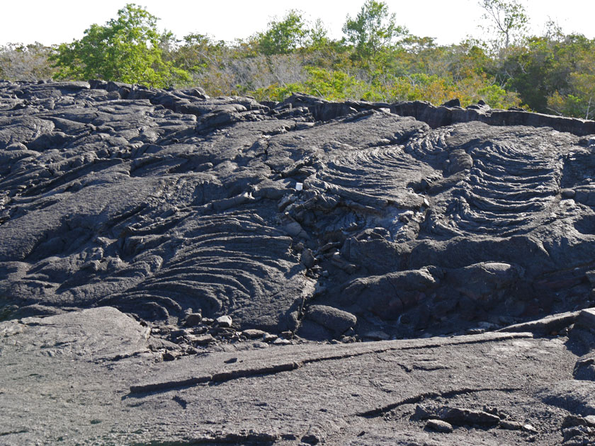 Lava Field, Fernandina Island