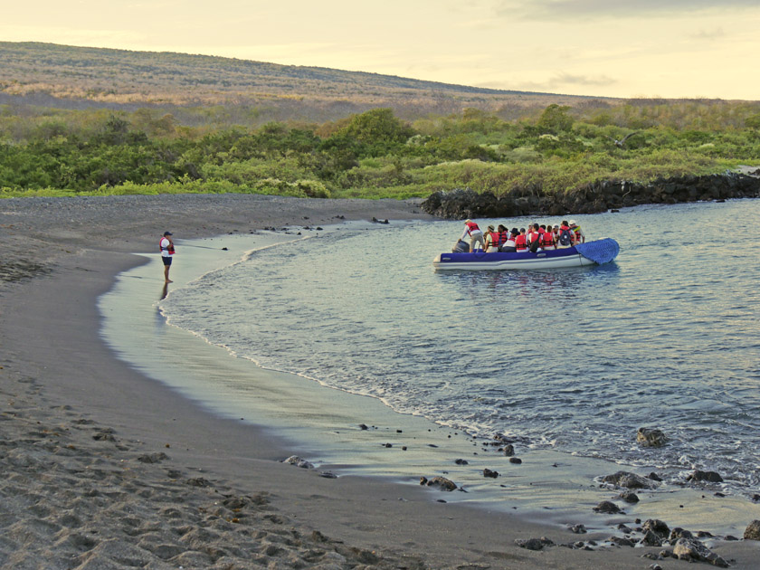 Morning Zodiak Landing, Urbina Bay