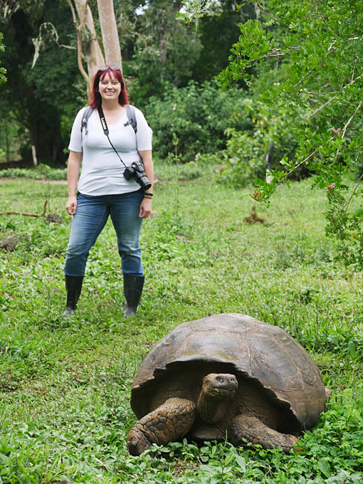 Becky and Giant Tortoise, Rancho Manzanillo, Santa Cruz Island