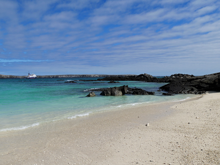 Darwin Bay Shoreline, Genovesa Island