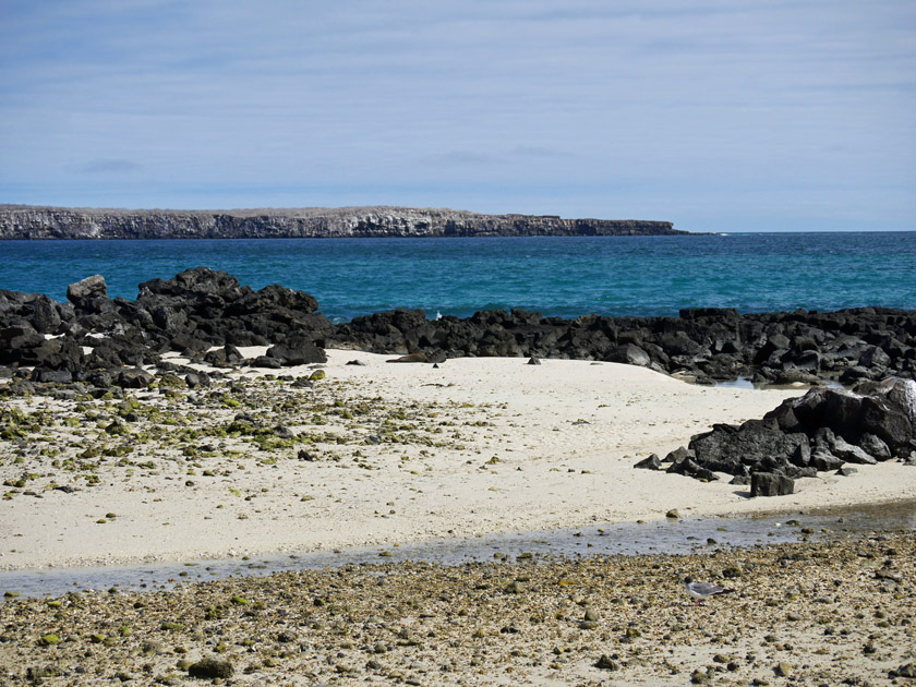 Darwin Bay, Genovesa Island