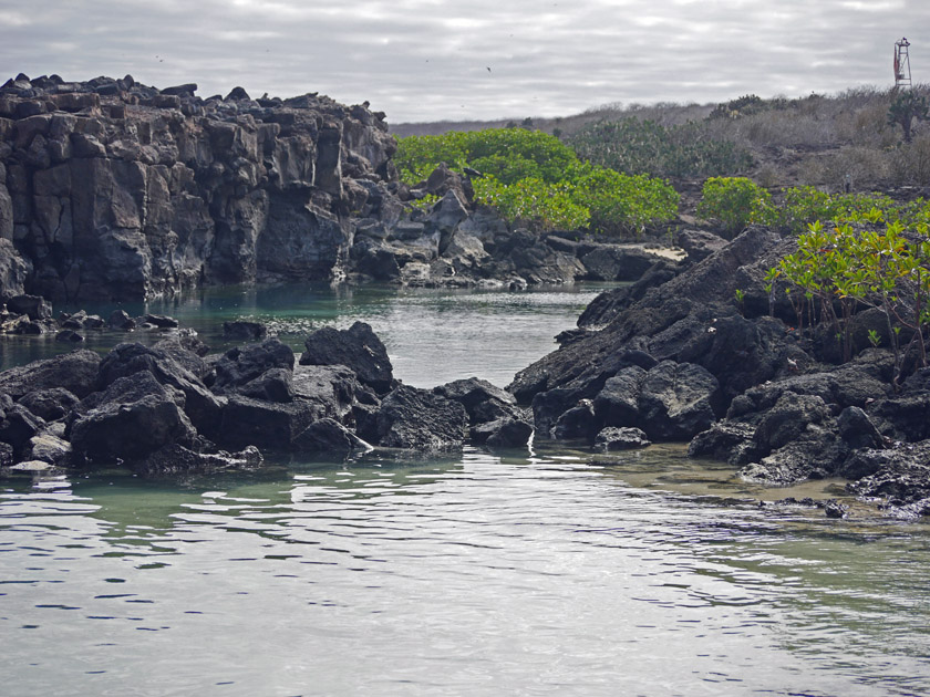 Genovesa Island Scenery