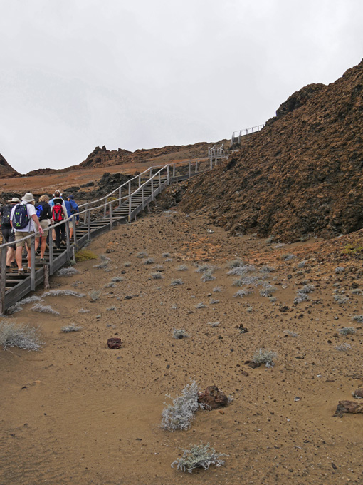 Bartolomé Island Lighthouse Climb, 374 Steps