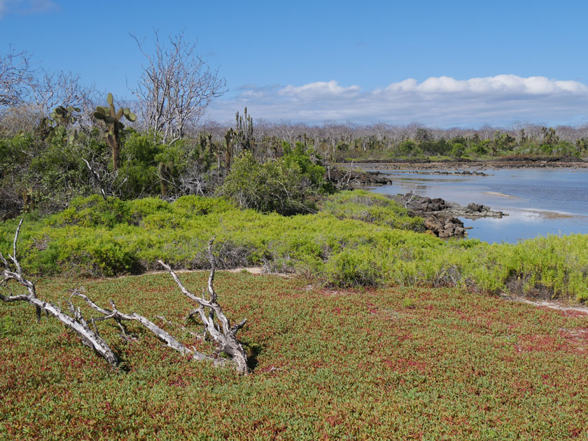 Santa Cruz Island Scenery