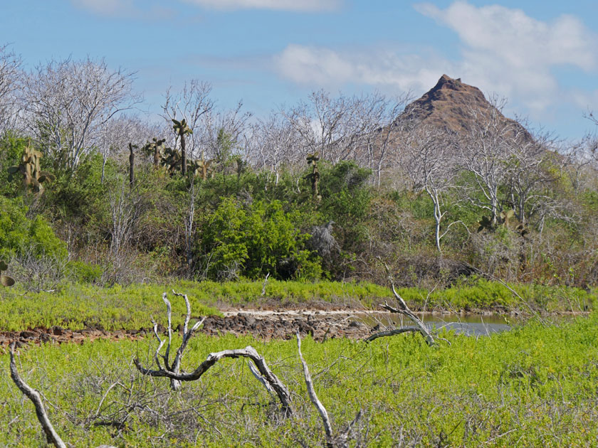 Dragon Hill, Santa Cruz Island