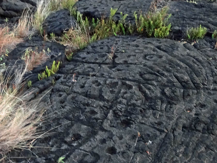 Petroglyphs, Hawaii Volcanoes National Park