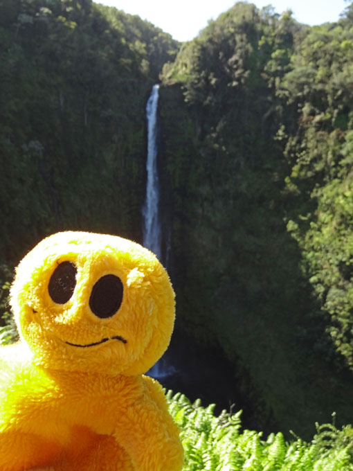 Mr. Happy at 'Akaka Falls, Big Island