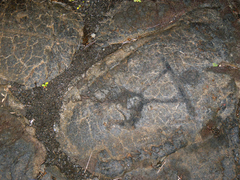 Petroglyphs, Hawaii Volcanoes National Park